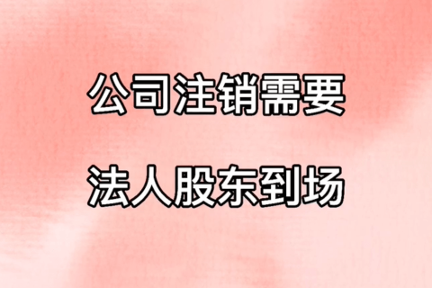 拉薩公司注銷，需要法人、股東到場嗎？