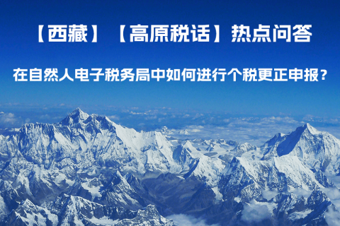 在自然人電子稅務(wù)局中如何進(jìn)行個(gè)稅更正申報(bào)？