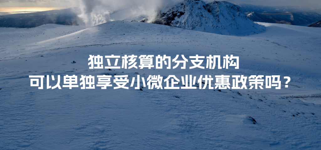 獨立核算的分支機構可以單獨享受小微企業(yè)優(yōu)惠政策嗎？