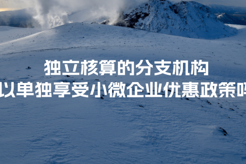 獨(dú)立核算的分支機(jī)構(gòu)可以單獨(dú)享受小微企業(yè)優(yōu)惠政策嗎？